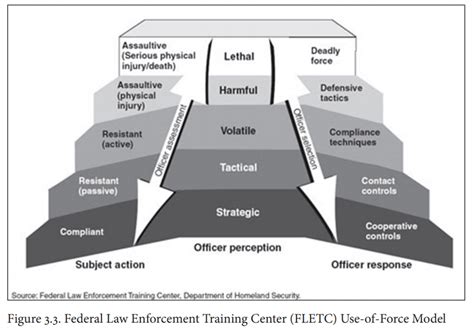 Book Review ‘evaluating Police Uses Of Force Examines Most Important