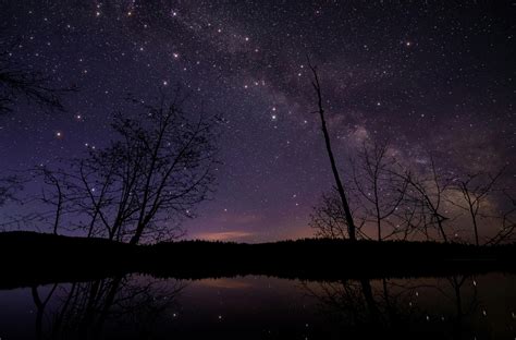 leafless trees  starry night sky  stock photo