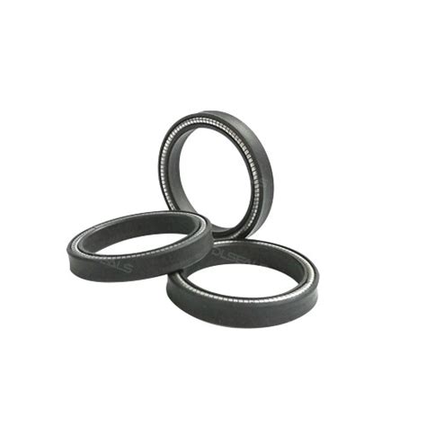 Spring Energized Seals Manufacturers Suppliers China Spring