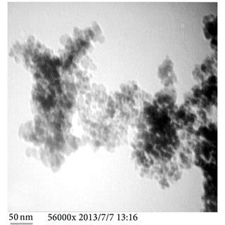 Cell Viability Of MTT Assay Results For All Concentrations Of Uncoated