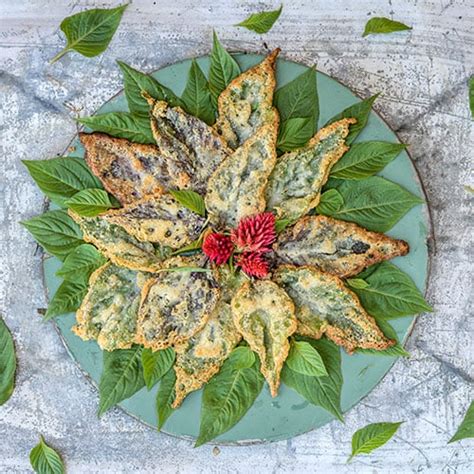 Celosia Leaf Tempura Recipe Baker Creek Heirloom Seeds