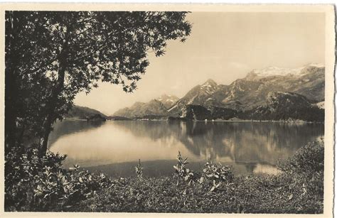 Vintage Fotokarte E Meerkämper Silsersee Maloja Engadin Kaufen