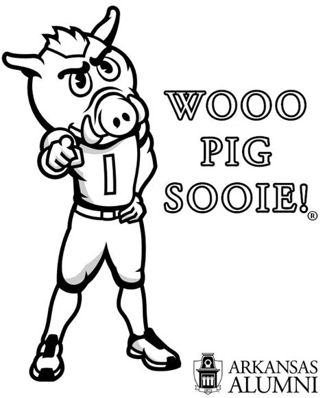 Arkansas Razorbacks Mascot Coloring Pages