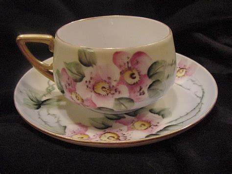 German Porcelain Cup Saucer Hand Painted With Wild Pink Roses KPM