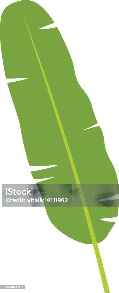 Daun Pisang Daun Dalam Gaya Datar Ilustrasi Stok Unduh Gambar