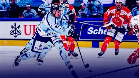 Straubing Tigers Stehen Im Finale Des Spengler Cups Straubing Tigers