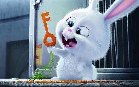 Discover more than 82 snowball rabbit wallpaper hd latest - 3tdesign.edu.vn