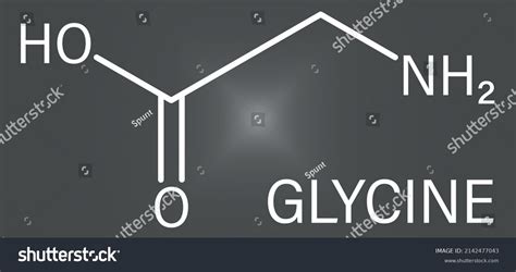 Glycine Gly G Amino Acid Molecule Stock Vector Royalty Free