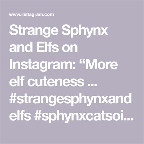 Strange Sphynx And Elfs On Instagram More Elf Cuteness