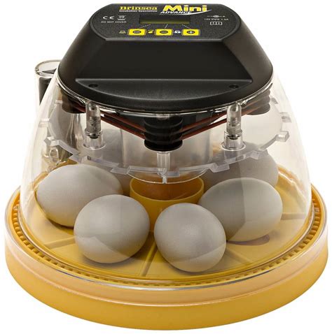 Using An Egg Incubator