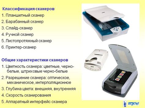 Выбираем домашний сканер — виды, характеристики и назначение