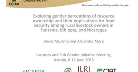 Exploring Gender Perceptions Of Resource Ownership And Their