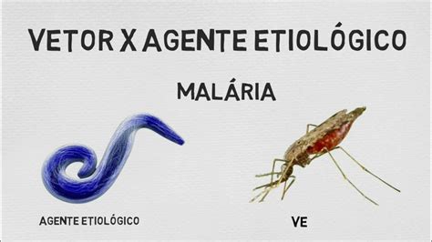 Agente Etiologico O Que É - Agente Etiologico O Que é - RETOEDU