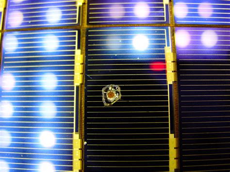 Esa Esa Built Solar Cells Retrieved From The Hubble Space Telescope