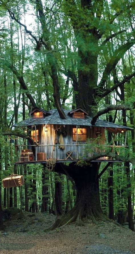 Beautiful Tree Houses Cool Tree Houses Beautiful Gardens Beautiful