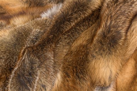 Genuine And Cozy European Red Fox Fur Blanket