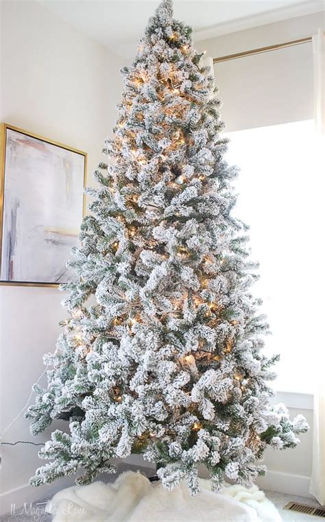 Popular + Affordable Flocked Christmas Trees