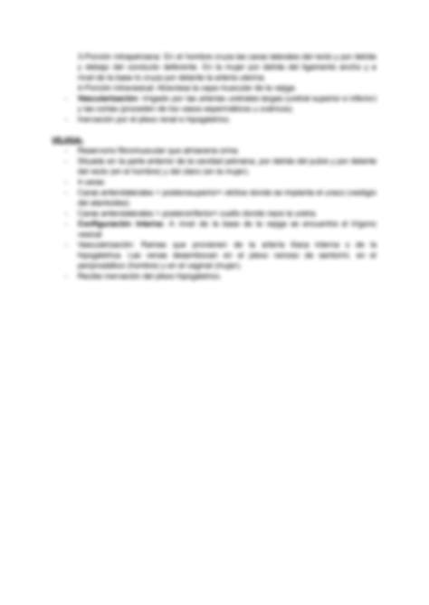 Solution Anatomia Del Sistema Urinario Studypool