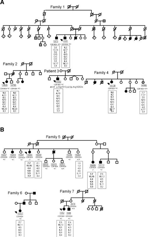 Pedigrees Of French Melanoma Prone Families And Haplotypes At P A