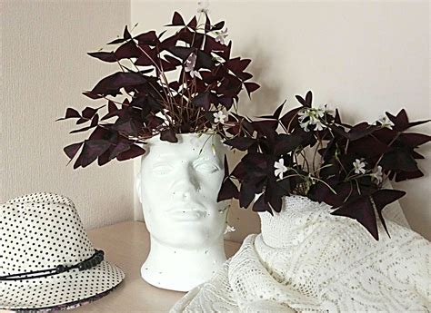 Кашпо для цветов, поделки из цемента