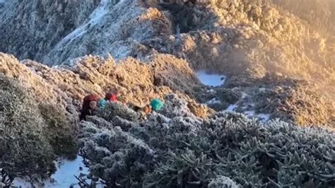 寒流到高山飄雪紛飛 耶誕銀白美景現｜東森新聞：新聞在哪 東森就在哪裡