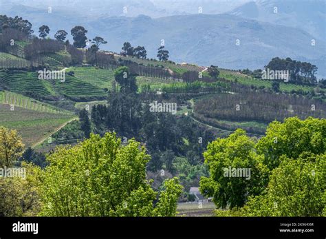 Stellenbosch Western Cape South Africa Stock Photo Alamy