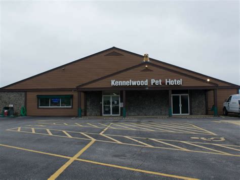 Kennelwood Pet Resort St Peters Kennelwood Pet Resorts