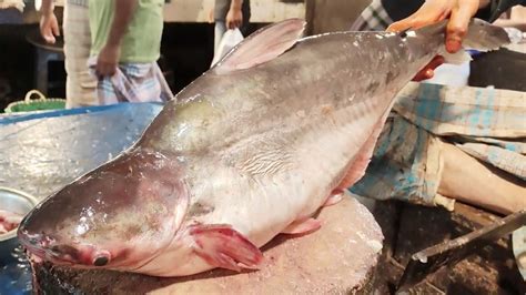 Amazing Giant Pangas Fish Cutting Skinning Skills In Bangladesh Fish