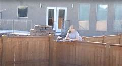 Sfcraigslist Drama Neighbor Feud Explodes Over Found Item