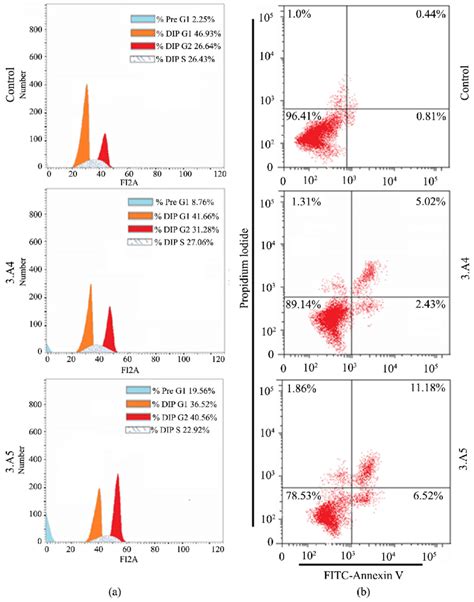 Flow Cytometric Analysis Of Caco Cells H Post Treatment With The