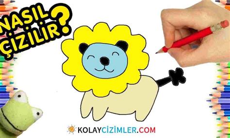 Aslan Kolay Çizimler
