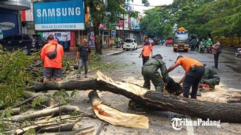 Breaking News Angin Kencang Landa Kota Padang Bpbd Imbau Waspada Pohon