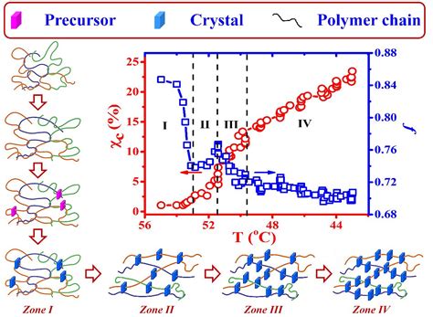 Macromolecules 同步辐射X射线在线研究PE吹膜过程中分子链缠结网络 晶体交联网络 晶体骨架的结构演化过程