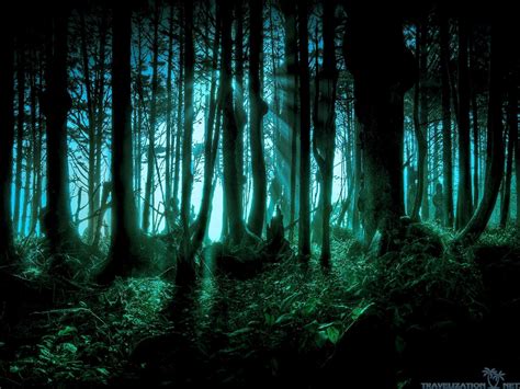 Spooky Forest Wallpapers Top Free Spooky Forest Backgrounds