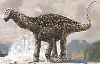 Saltasaurus Dinosaur, facts | information - Saltasaurus foodprin