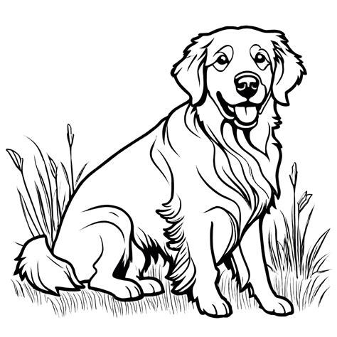 Happy Golden Retriever Sitting Lulu Pages