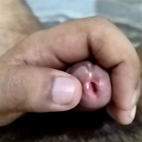 My Dicks Nude Pics XHamster