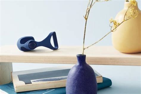 Un sex toy sur létagère du salon Oui mais design