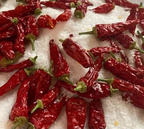 Wonder Hot Dry Red Chilli At 230 Kg Dry Red Chilli In Dharmabad ID 26796989312