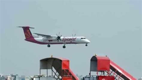 Spicejet To Operate At Full Capacity From October 30 Dgca Lifts 50