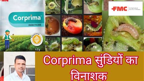 Corprima Fmc Insecticide New Lounch Product Youtube