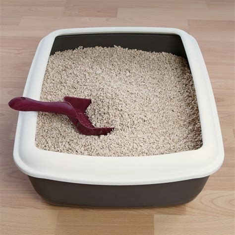 How Do You Clean A Cat Litter Box Storables