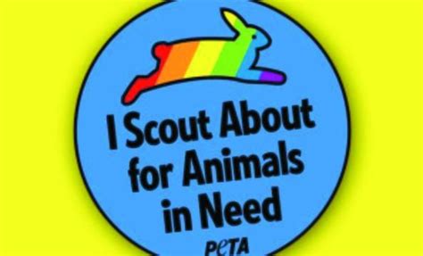 Peta Offers Merit Badges To Gay Scouts Washington Examiner