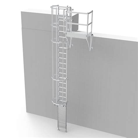 Scala a gabbia in qualitÃ di specialisti del l accesso