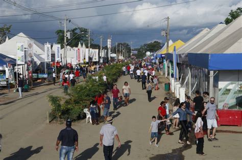 Agricultura Cooperativas abocanharam 37 das linhas de créditos