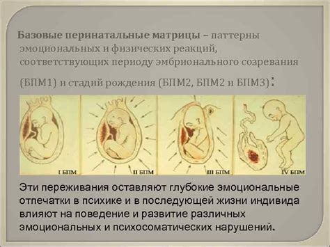 Пренатальная и перинатальная психология
