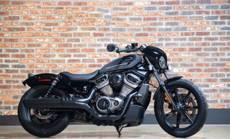 2019 2024 Harley Davidson Nightster For Sale On ChopperExchange