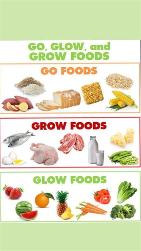 glow  grow foods sorting activity worksheet  posters