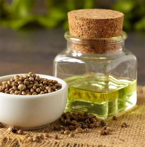 Hemp Seed Oil: Benefits, Dosage, Side Effects, and Top Supplements