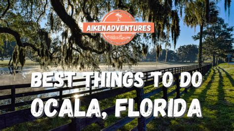 Best Things To Do In Ocala Florida Aiken Adventures